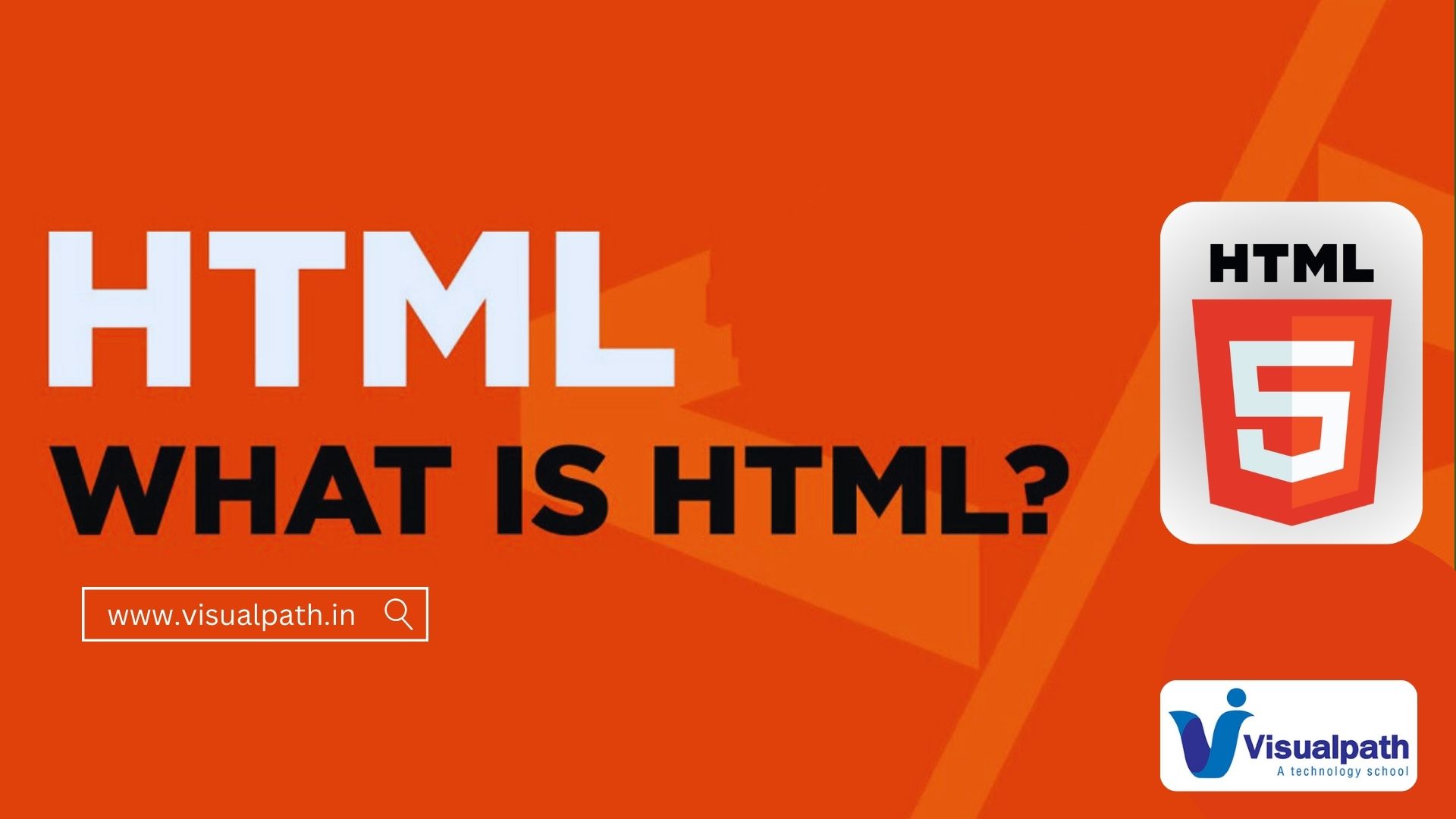 What is HTML? A Beginner’s Guide in 2024