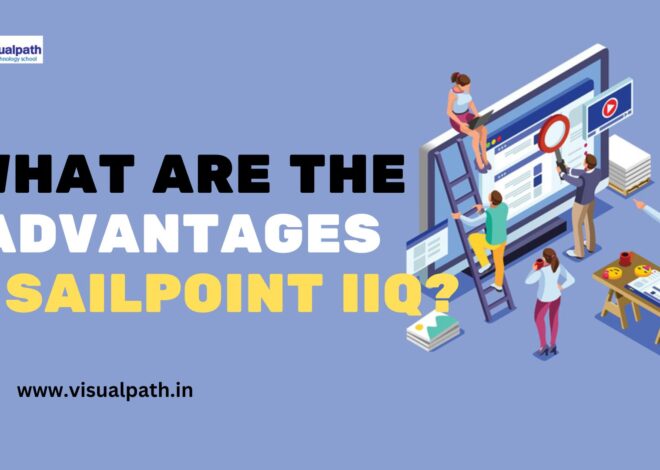 What are the Advantages of SailPoint IIQ?