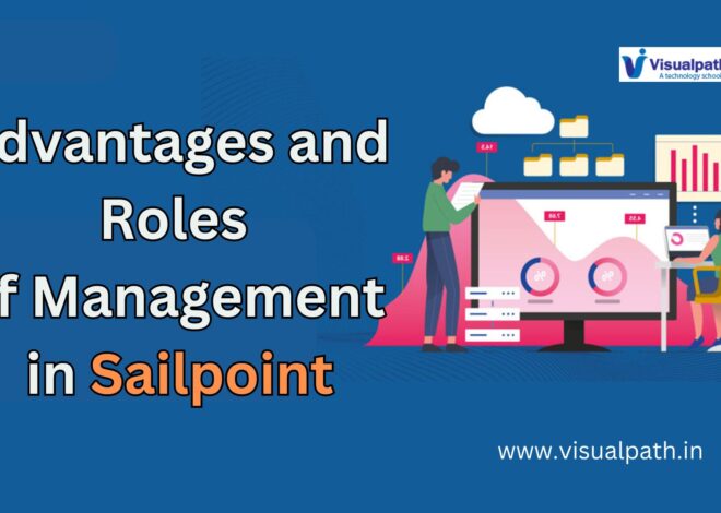 What are the Advantages and Roles of Management in Sailpoint?