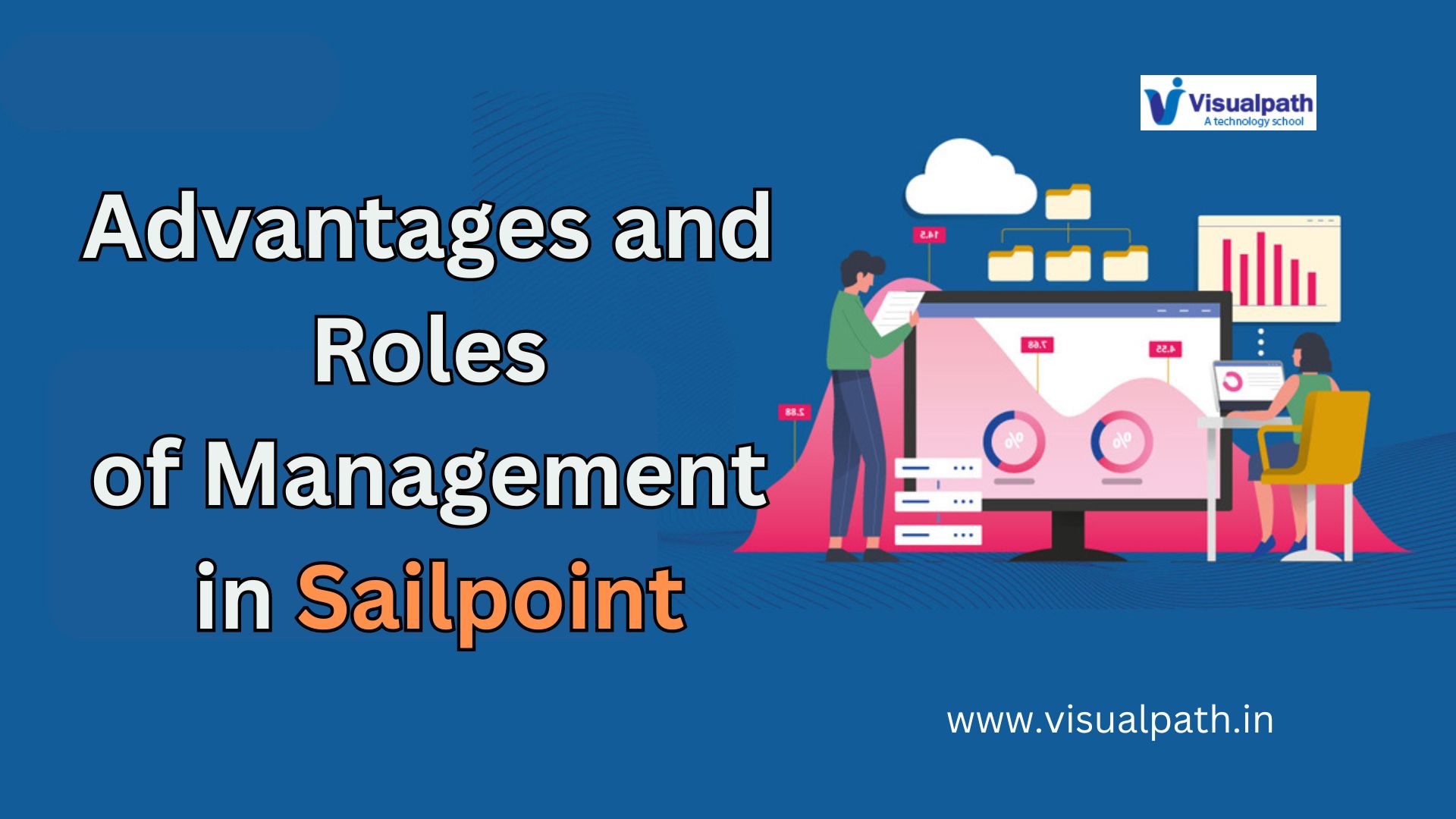 What are the Advantages and Roles of Management in Sailpoint?