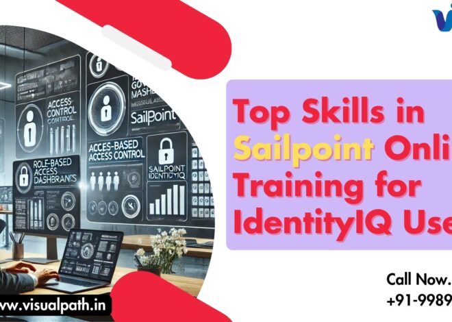 Top Skills in Sailpoint Online Training for IdentityIQ Users