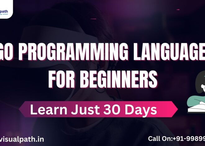 Go for Beginners: Learn Go Programming in Just 30 Days