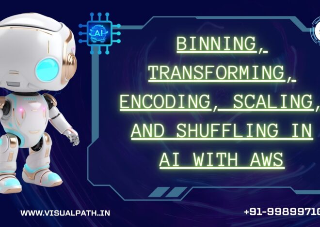 AI with AWS: Binning, Transforming, Encoding, Scaling, and Shuffling