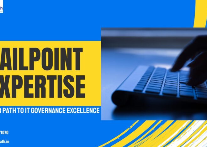 SailPoint Expertise: Your Path to IT Governance Excellence