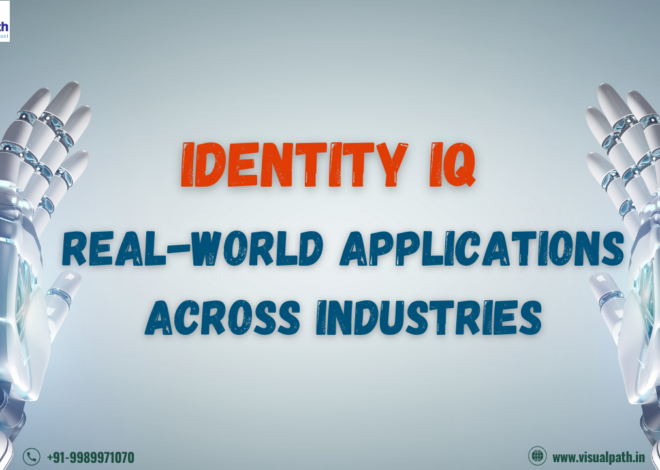 IdentityIQ: Real-World Applications across Industries