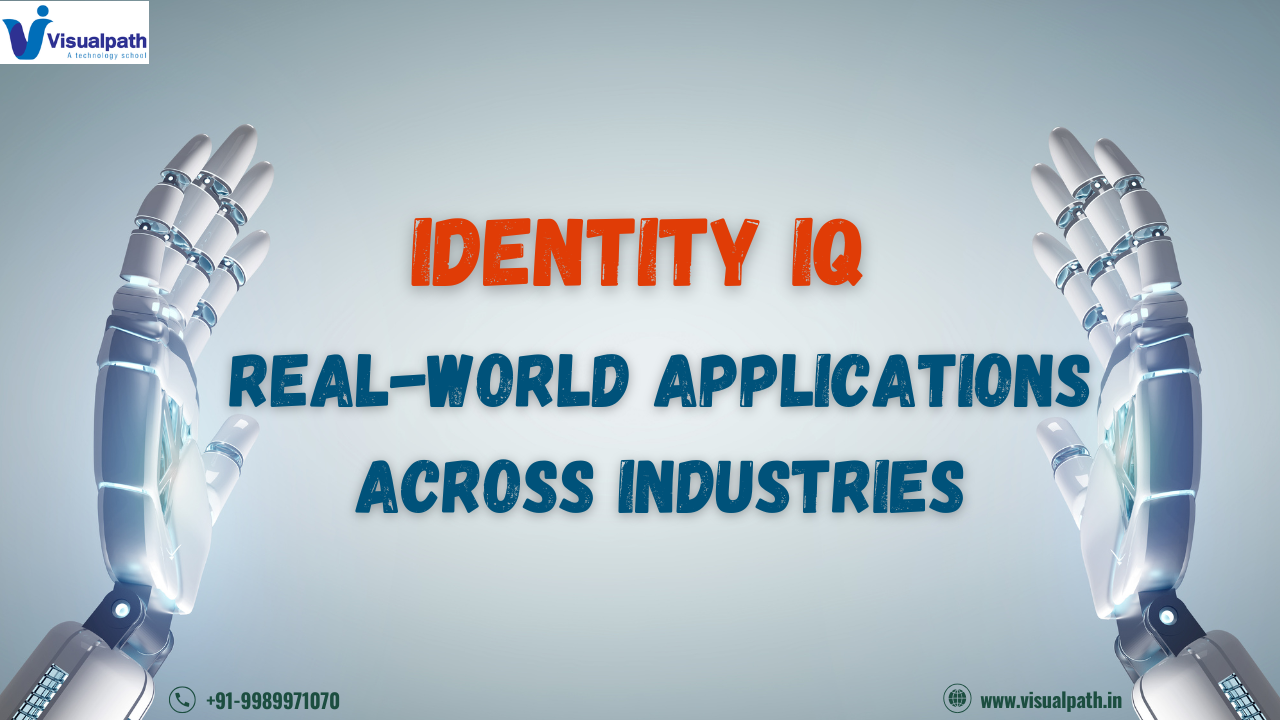 IdentityIQ: Real-World Applications across Industries