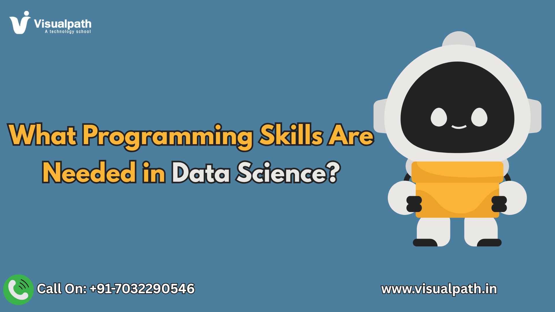 What Programming Skills Are Needed in Data Science?