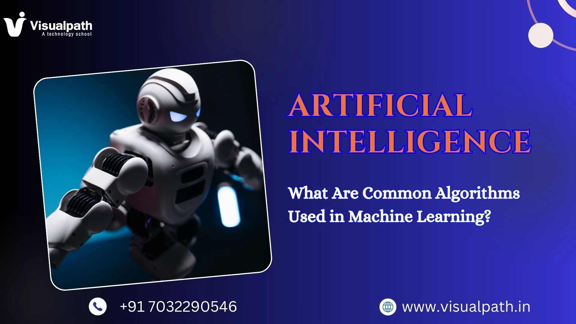 What Are Common Algorithms Used in Machine Learning